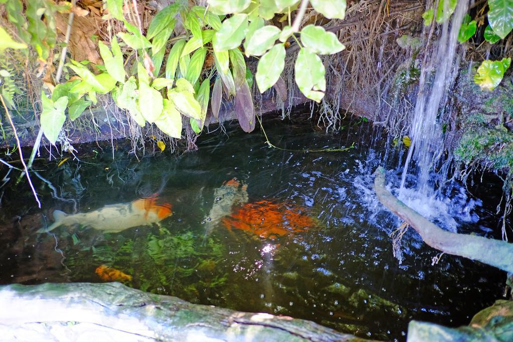 West Gorordo Hotel Cebu Dış mekan fotoğraf
